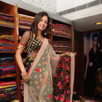 Haripriya launches Sanskriti Festive Designer collection Sarees - Pictures | Picture 104049
